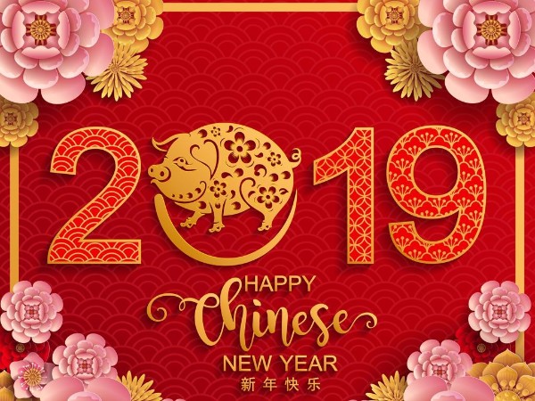 金豬送喜辭舊歲，雙志陪您慶新春！